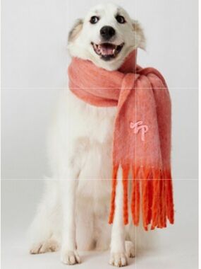 FREE PEOPLE➕NWT Winter Chill Blanket Scarf